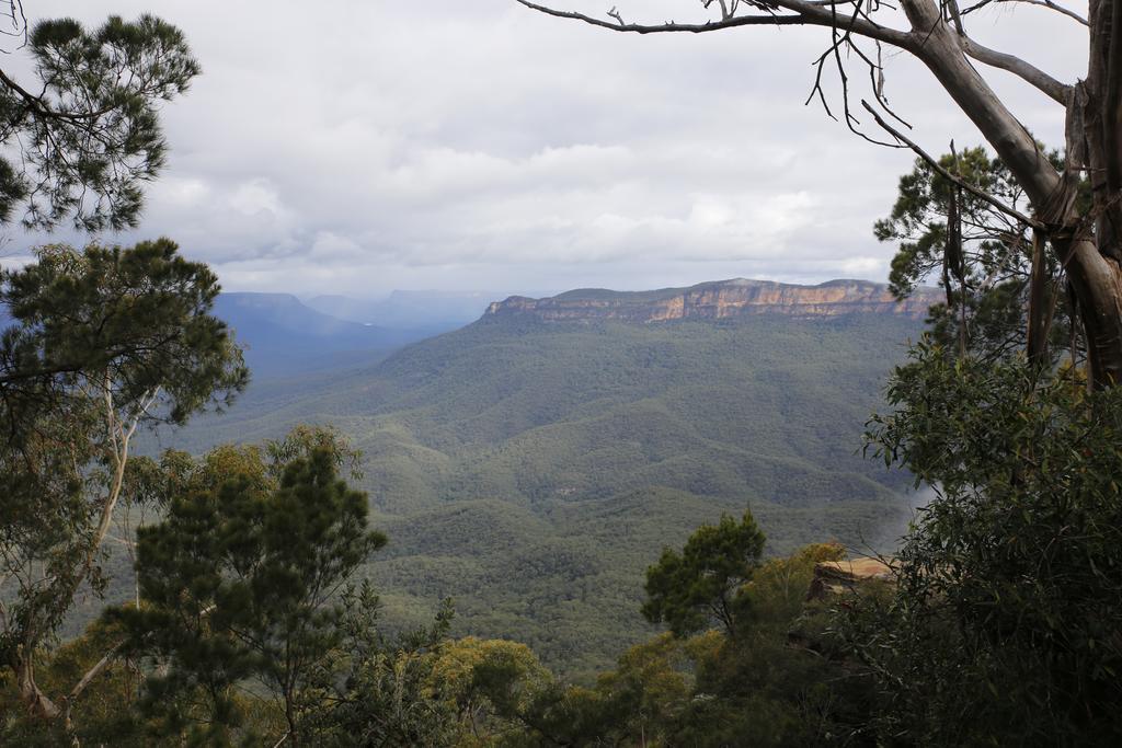 Silvermere Guesthouse Wentworth Falls Kültér fotó